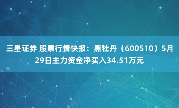 三星证券 股票行情快报：黑牡丹（600510）5月29日主力资金净买入34.51万元