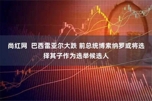 尚红网  巴西雷亚尔大跌 前总统博索纳罗或将选择其子作为选举候选人